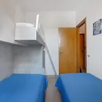 Apartment Coral House