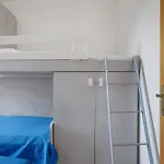 Apartment Coral House