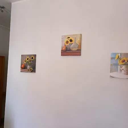 Coral House Apartment Viareggio